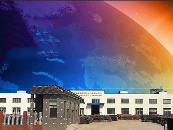 公司正大门